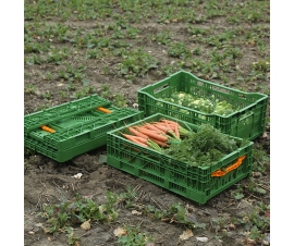 Foldable Ventilated Euro Containers Group