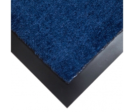 Entrance Mat in Blue