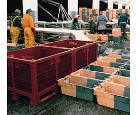 Euro Stacking and Nesting Containers
