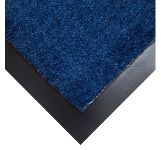 Entrance Mat in Blue