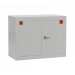 Light Grey Cabinet (Coshh)