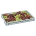 Ventilated Euro Tray 70mm High with Contents