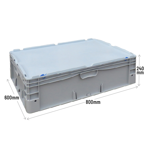 Basicline Container Case