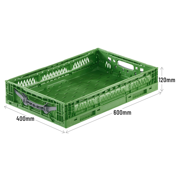 BK-FCA64/12 Folding Euro Container